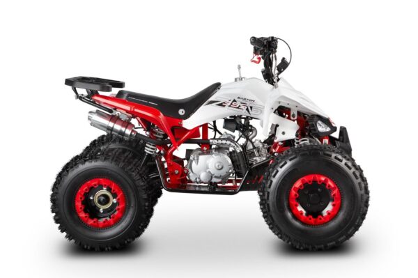 ATV Barton Eagle 125 - Image 2